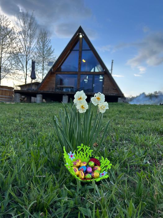 Cabana tip A cu ciubăr — cabană de închiriat în Sinca Noua