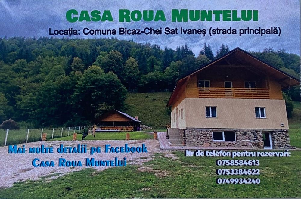 Casa vacanta un loc de relaxare — cabană de închiriat în Localitate